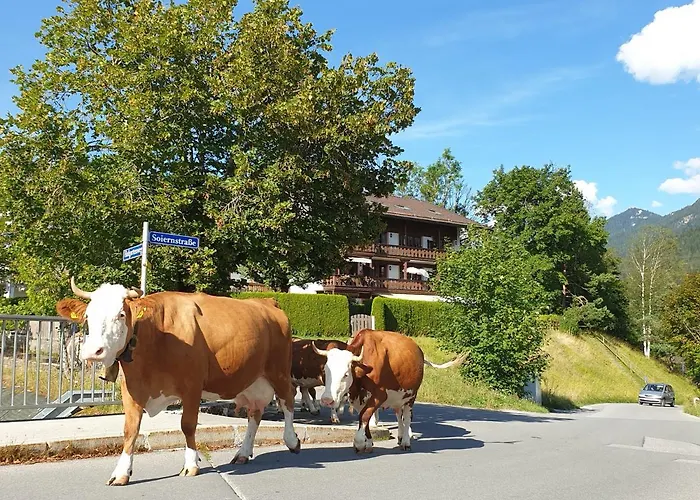 Haus Abendsonne Ferienwohnung Schuster