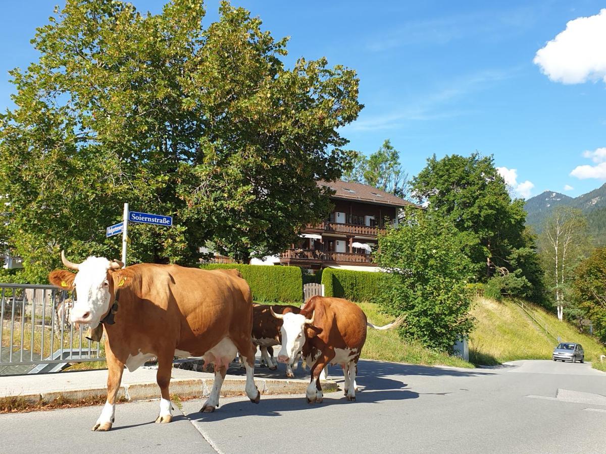 Haus Abendsonne Schuster Appartement Krün